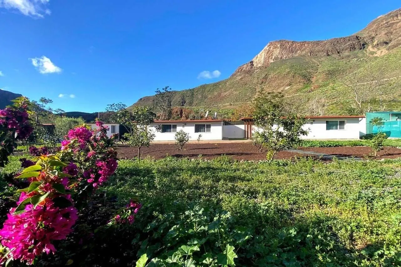 2 Bedroom Country House Near Fataga & Maspalomas Artedara Holiday home